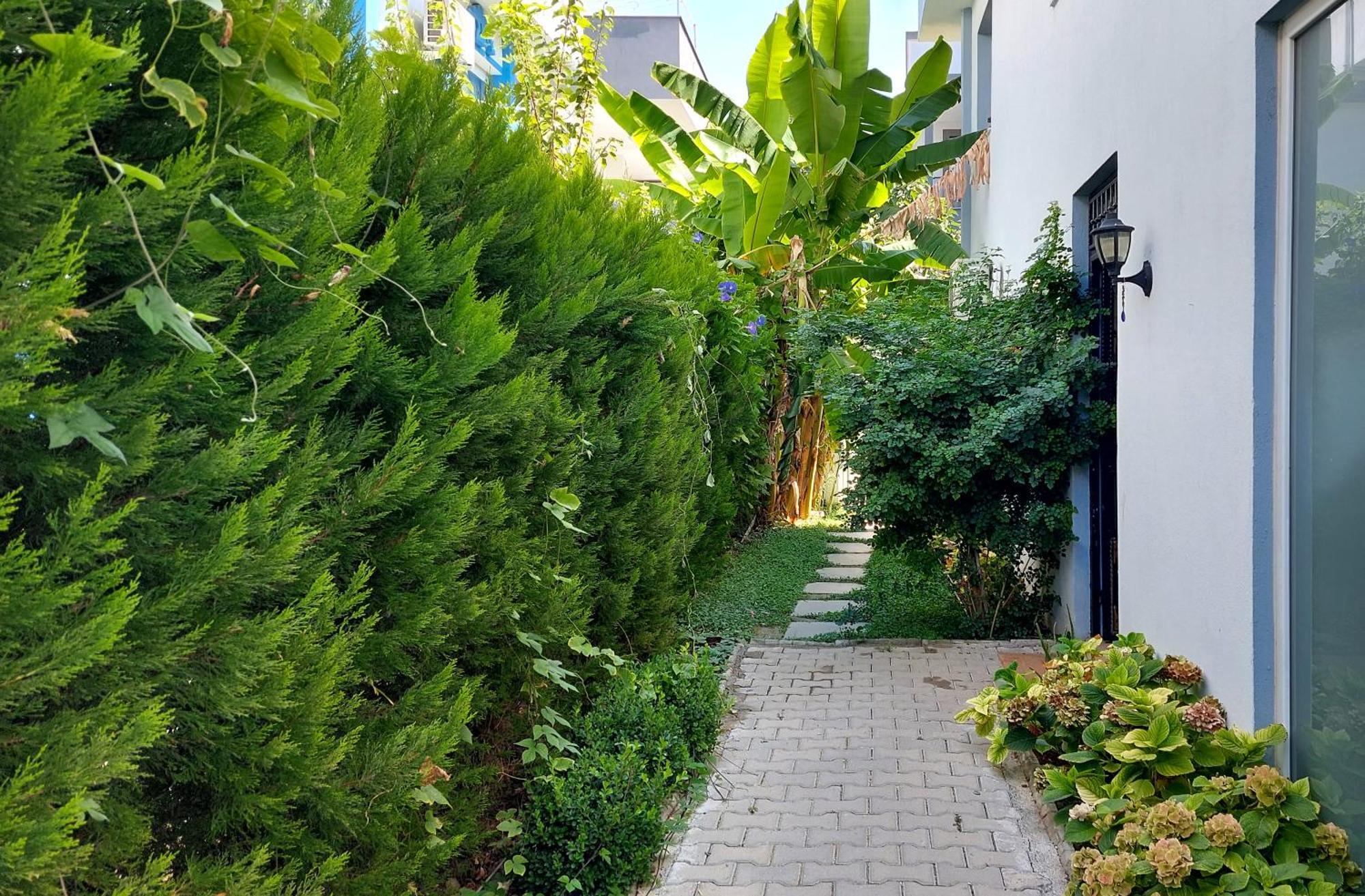 Palmiyem Apart Otel Seferihisar Extérieur photo